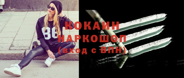 гидра Арсеньев