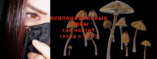 гидра Арсеньев
