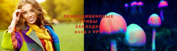 гидра Арсеньев