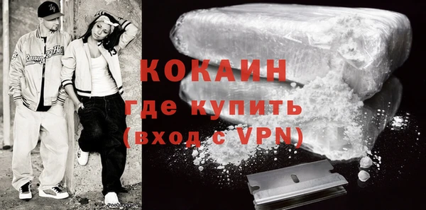 гидра Арсеньев